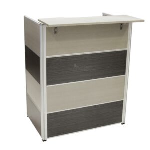 MINI MODULO DE RECEPCION