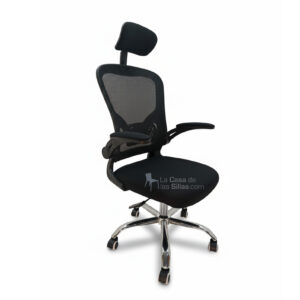 FERRARI PRESIDENCIAL