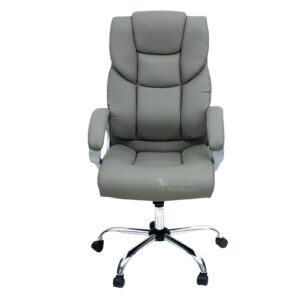 STANFORD PRESIDENCIAL COLOR GRIS